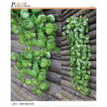 High quality Climbing plants /IVY for wall decoration